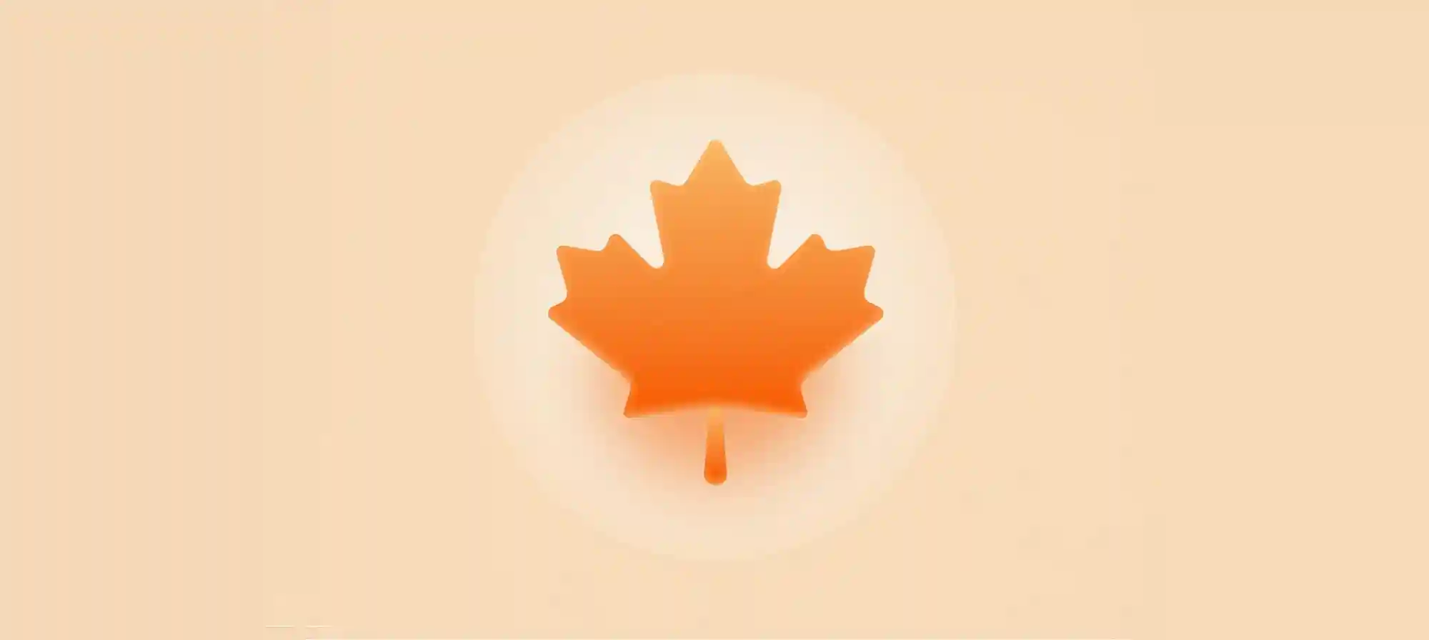 欢迎来到小白的天地 - 推荐阅读