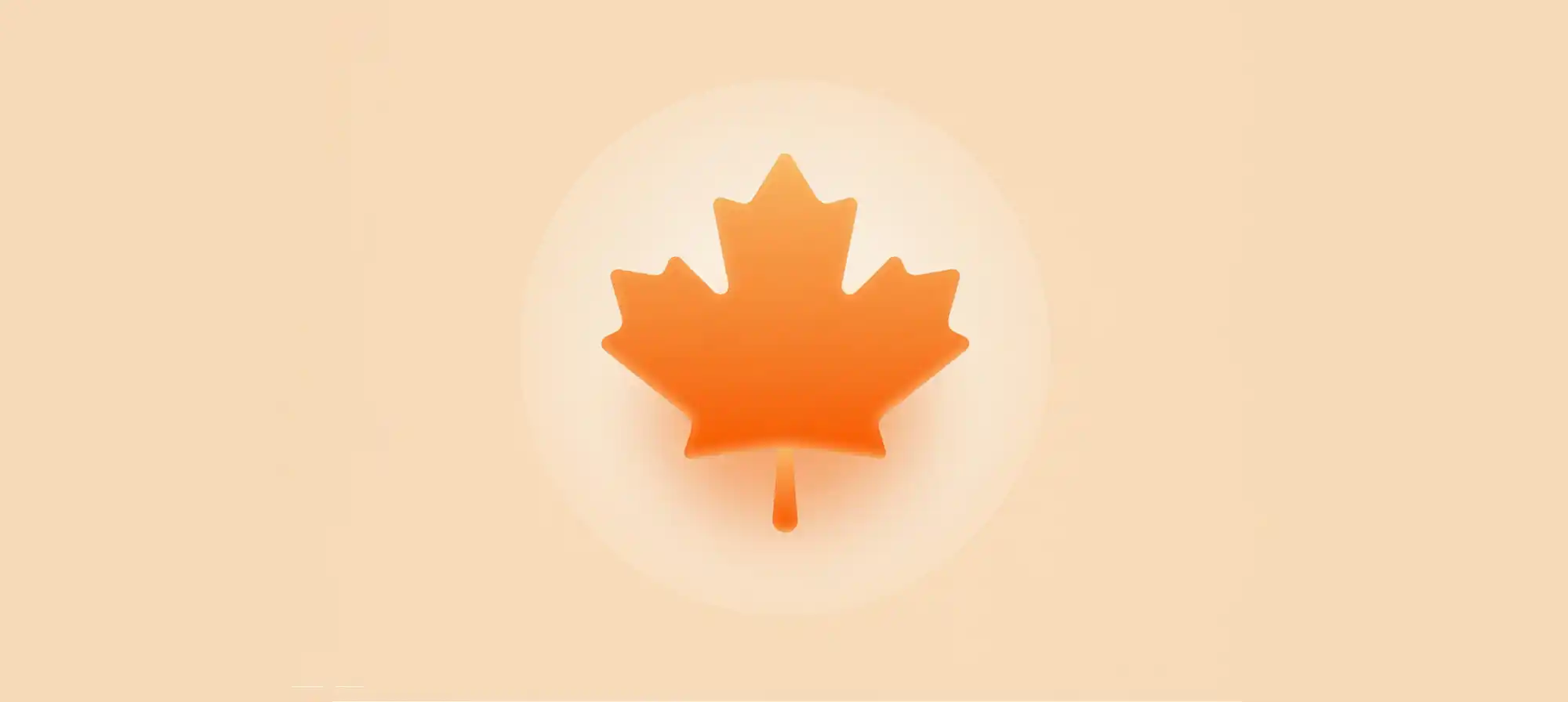 欢迎来到小白的天地 - 默认图片