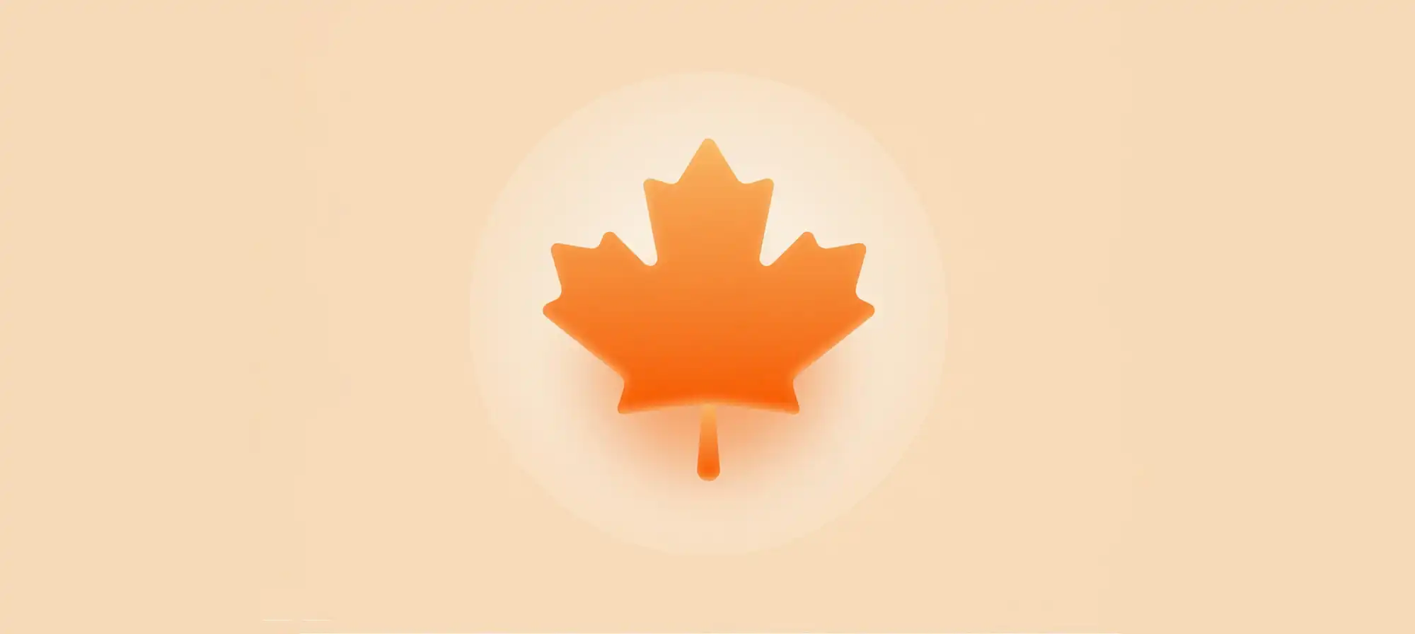 欢迎来到小白的天地 - 默认图片