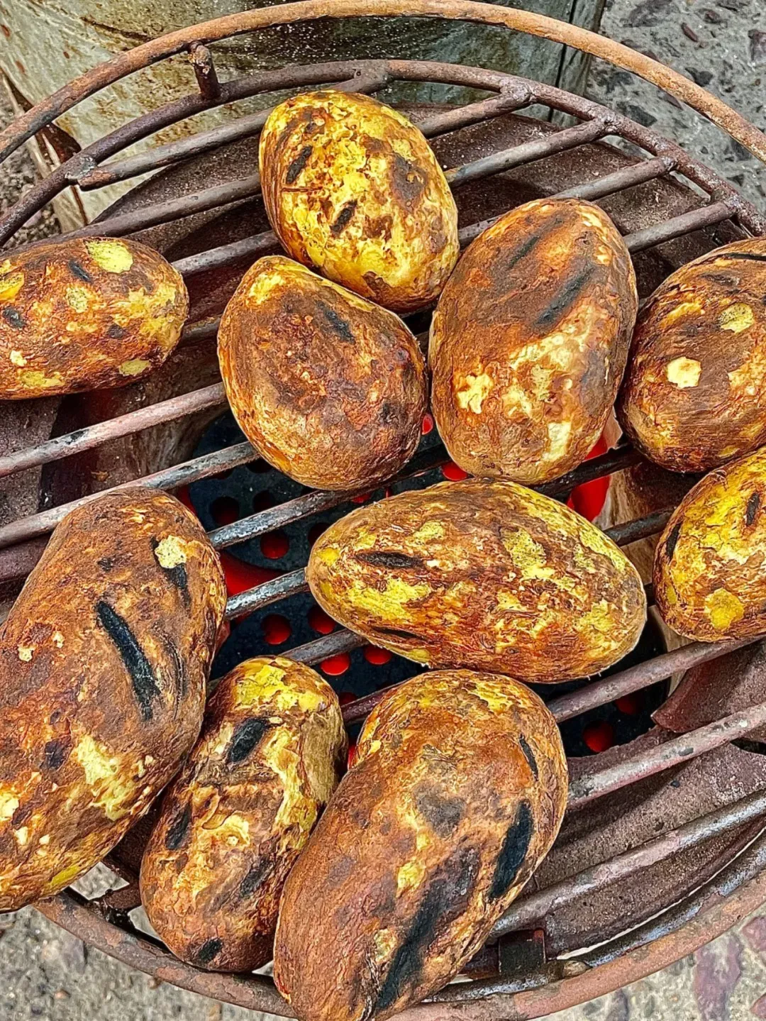 威宁草海黑颈鹤